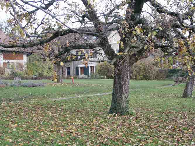 Click to see next picture