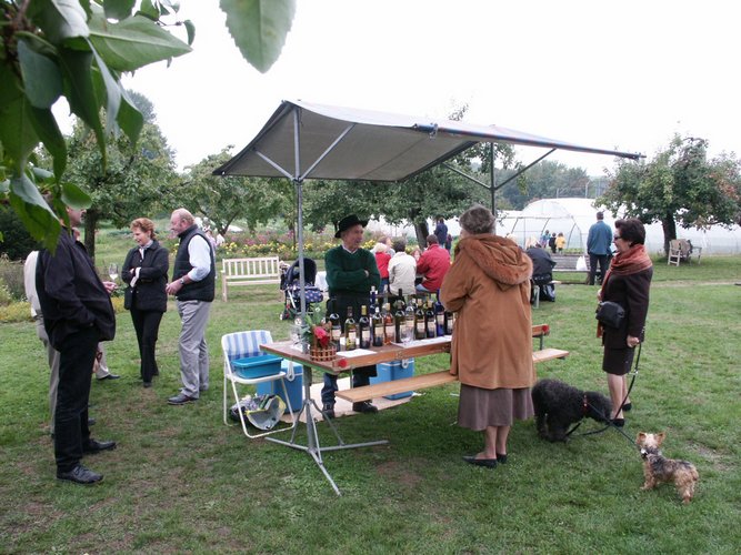 Click to see next picture