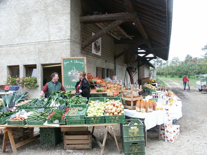 Click to see next picture