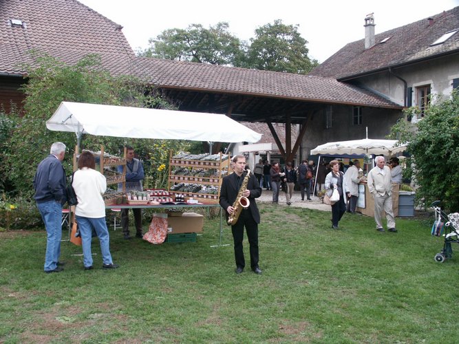 Click to see next picture