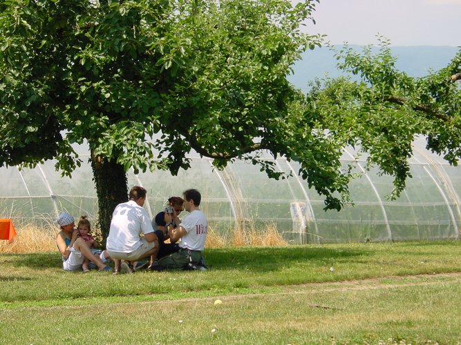 Click to see next picture