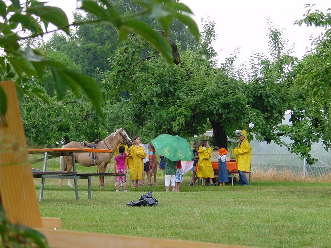 Click to see next picture