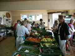 Click to see big picture (667x500 pixels; 97 KB)