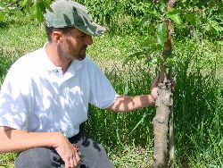 1964.jpg (595140 bytes)