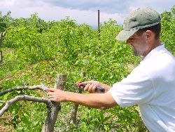 1966.jpg (619810 bytes)