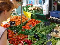 1204.jpg (97906 bytes)