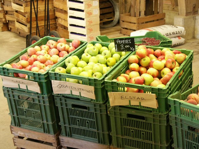 Click to see next picture