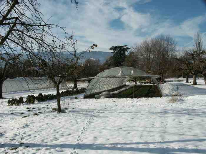 Clic ici pour voir l'image suivante