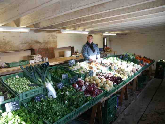 Clic ici pour voir l'image suivante