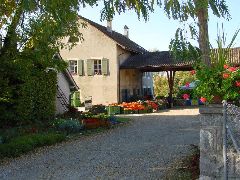 dsc01403.jpg (113712 bytes)