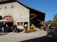 dsc01416.jpg (78611 bytes)