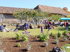 dsc01433.jpg (136669 bytes)