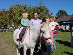 dsc01435.jpg (100383 bytes)