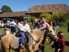 dsc01437.jpg (107958 bytes)