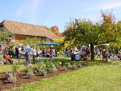 dsc01450.jpg (120547 bytes)