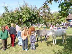 dsc01452.jpg (129791 bytes)