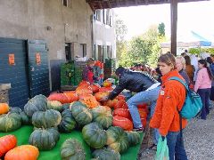 dsc01463.jpg (94778 bytes)