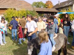 dsc01473.jpg (106346 bytes)