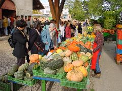 dsc01477.jpg (115332 bytes)