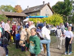 dsc01485.jpg (117362 bytes)